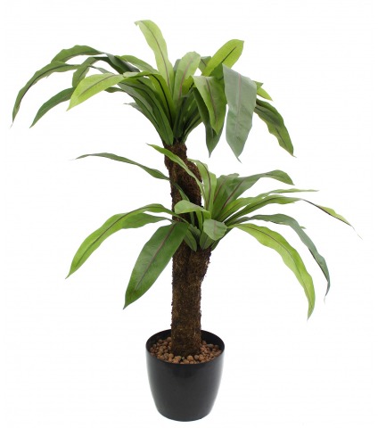 Asplenium artificiel large