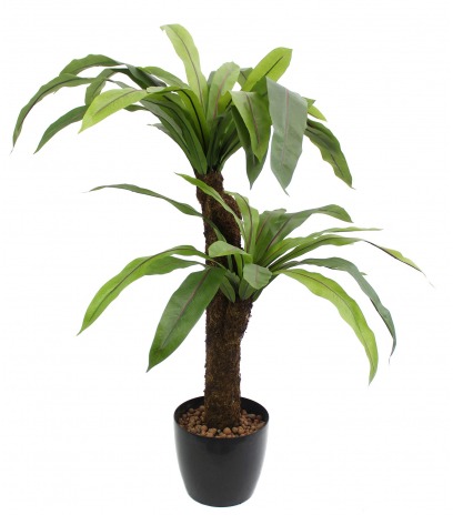 Asplenium artificiel large