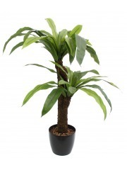 Asplenium artificiel large
