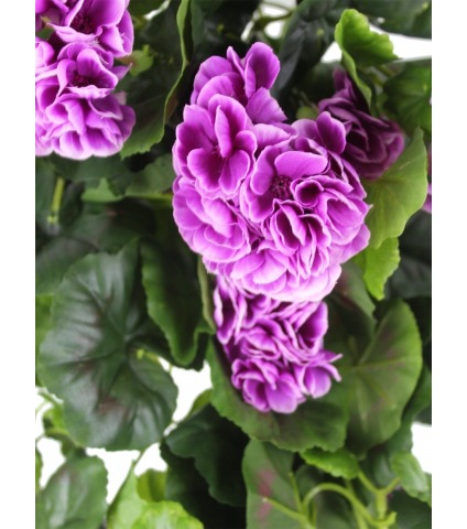 Chute de géranium artificiel violet