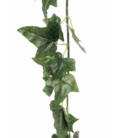 Guirlande de lierre anglais