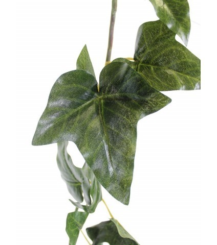 Guirlande de lierre anglais