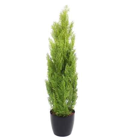 Cyprès artificiel arbuste