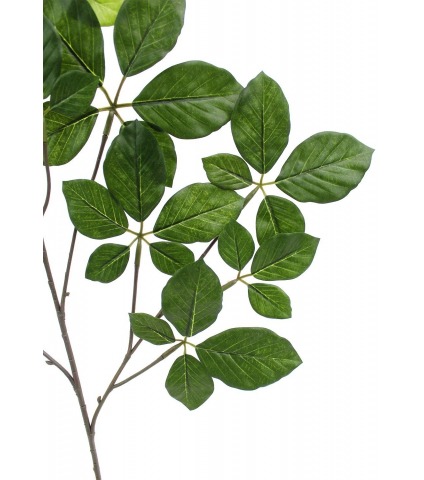 Feuille d'hêtre artificielle