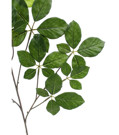 Feuille d'hêtre artificielle