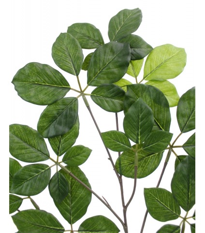 Feuille d'hêtre artificielle