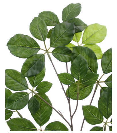 Feuille d'hêtre artificielle