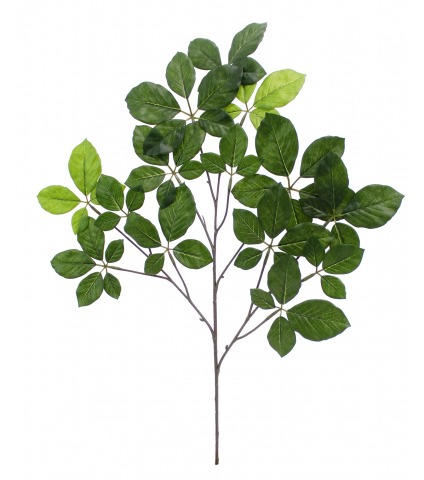 Feuille d'hêtre artificielle