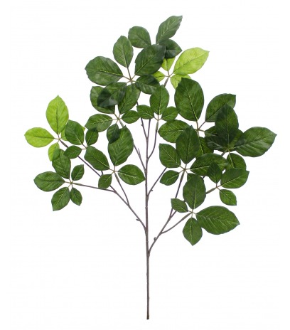 Feuille d'hêtre artificielle