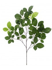 Feuille d'hêtre artificielle