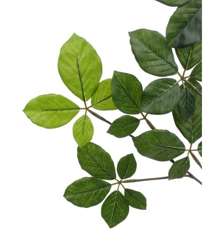 Feuille d'hêtre artificielle