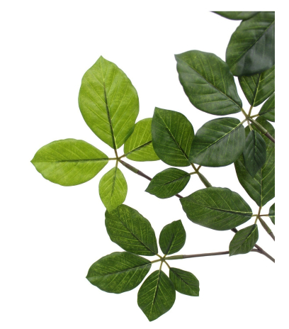 Feuille d'hêtre artificielle