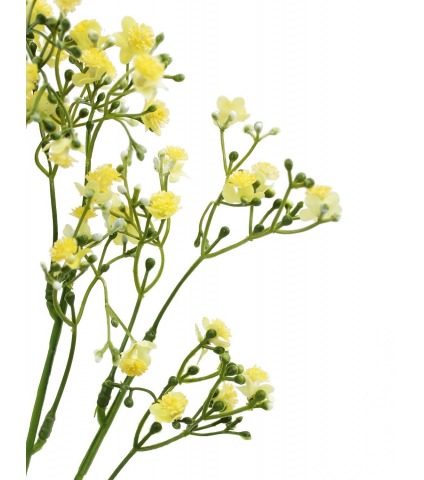 Myosotis artificiel jaune