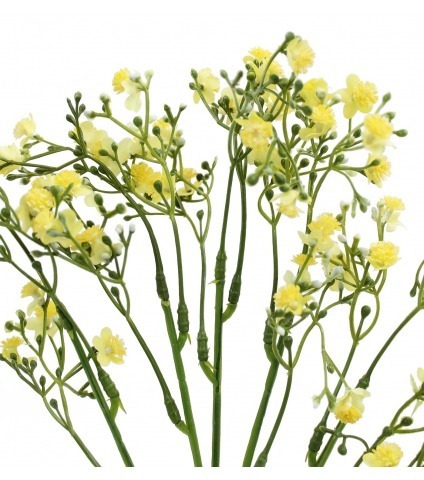 Myosotis artificiel jaune