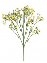 Myosotis artificiel jaune
