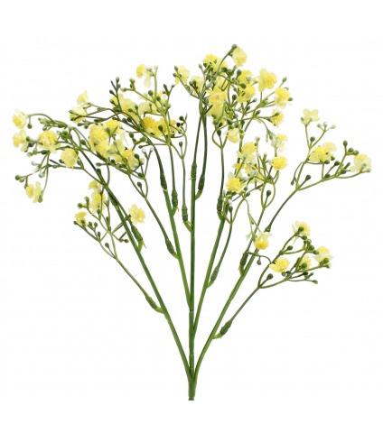 Myosotis artificiel jaune