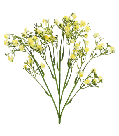 Myosotis artificiel jaune