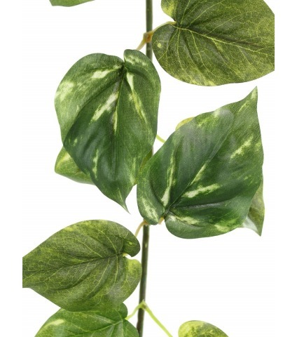 Guirlande de pothos artificielle