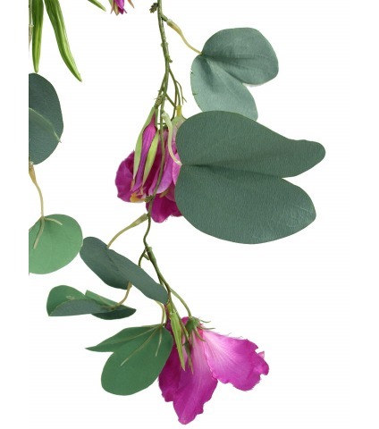 Bauhinia artificielle