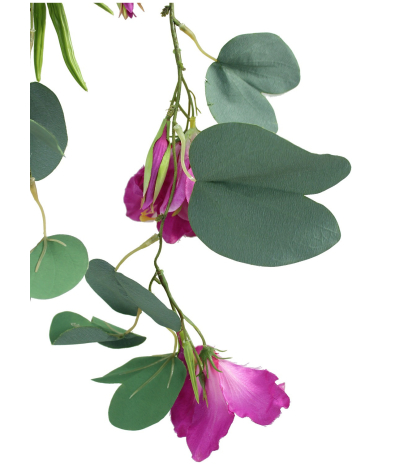 Bauhinia artificielle