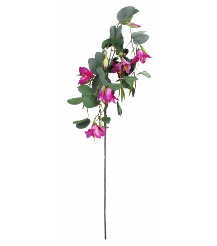 Bauhinia artificielle