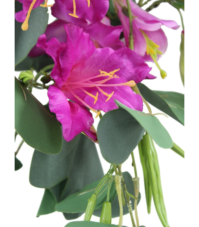 Bauhinia artificielle