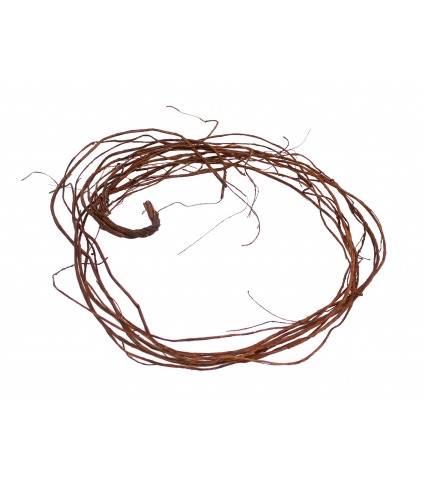 Branche de liane déco