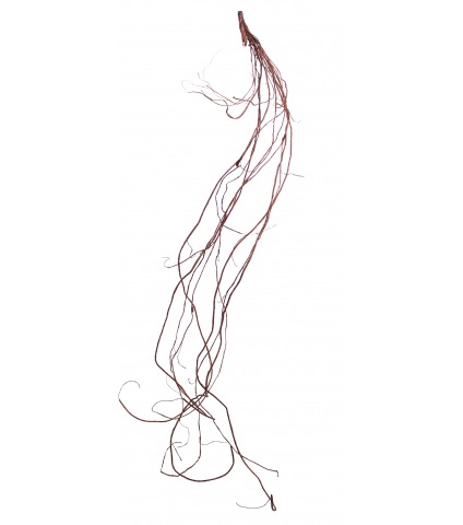 Branche de liane déco