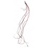 Branche de liane déco