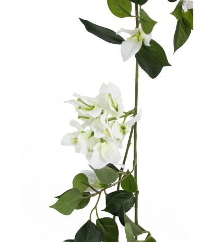 Guirlande de bougainvillée blanche