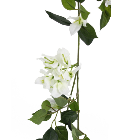 Guirlande de bougainvillée blanche
