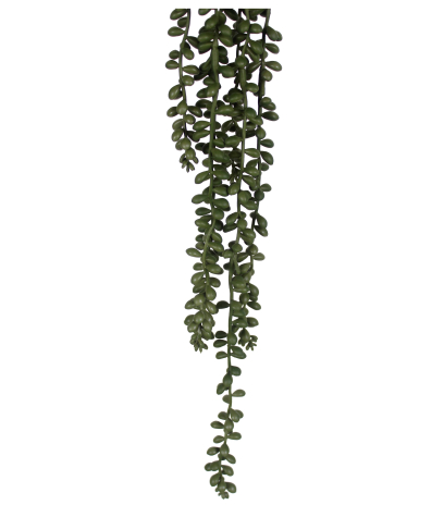Chute de crassula artificielle
