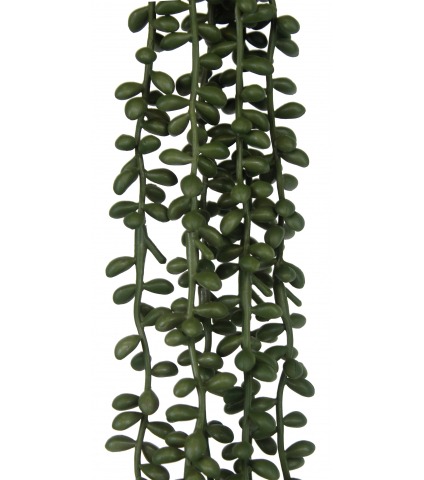 Chute de crassula artificielle