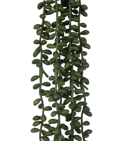 Chute de crassula artificielle