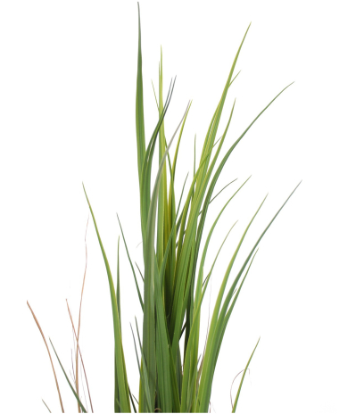 Herbe haute artificielle