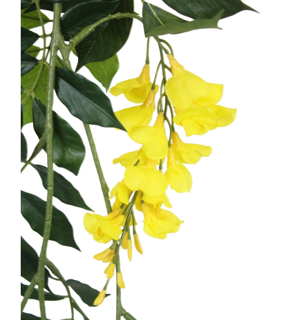 Guirlande de glycine jaune