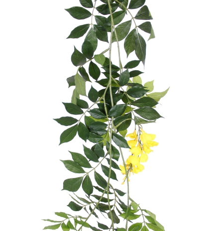 Guirlande de glycine jaune