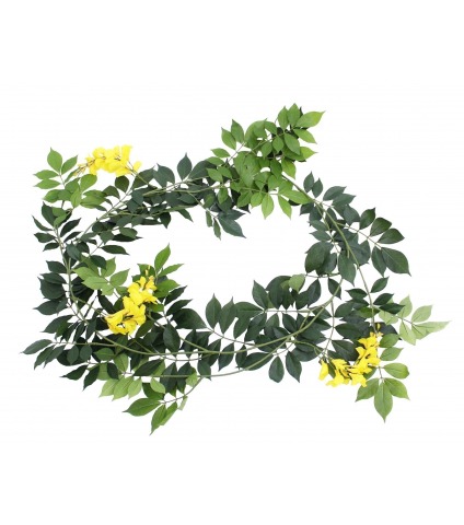 Guirlande de glycine jaune