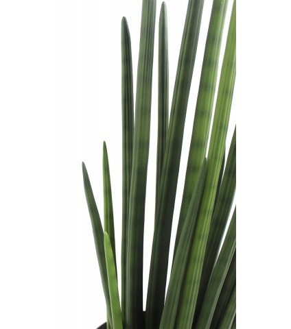 Sansevière artificielle verte foncée