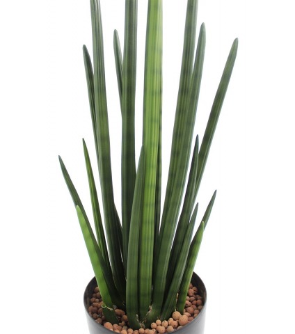 Sansevière artificielle verte foncée