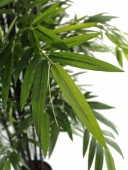 Bambou artificiel à cannes multiples