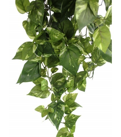 Chute de pothos panaché artificiel
