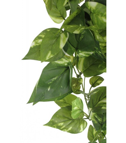 Chute de pothos panaché artificiel