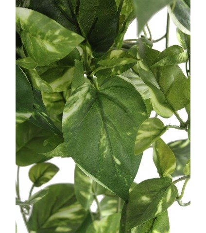Chute de pothos panaché artificiel