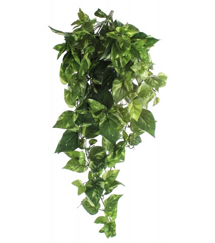 Chute de pothos panaché artificiel