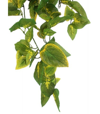 Coléus retombant artificiel