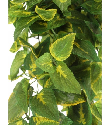 Coléus retombant artificiel vert jaune