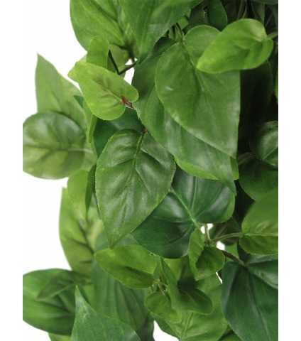 Chute de scindapsus artificielle