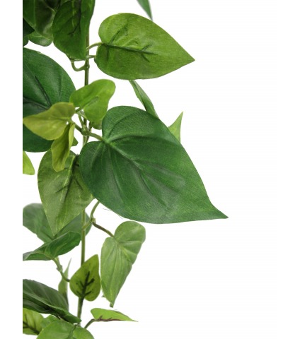 Chute de scindapsus artificielle