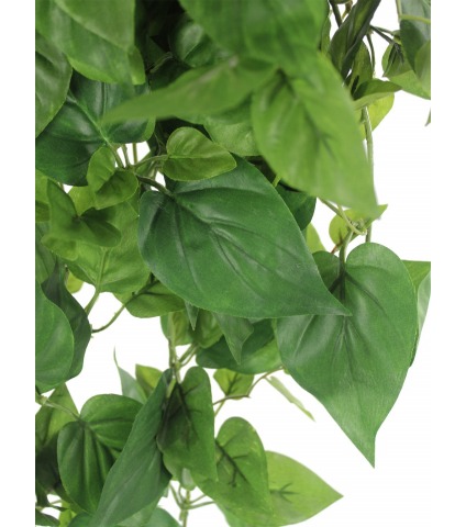 Chute de scindapsus artificielle